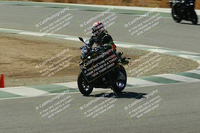 media/Oct-04-2025-Champ School (Sat) [[36446ccff8]]/1030am (Turns 4 and 6)/